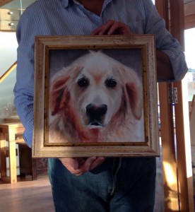 Mimi the dog Mimi the dog