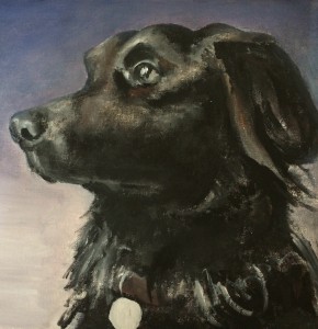 Freddie the dog Freddie the dog